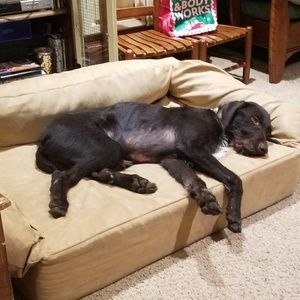 Meet your Posher, Terry